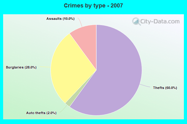 Crimes by type - 2007