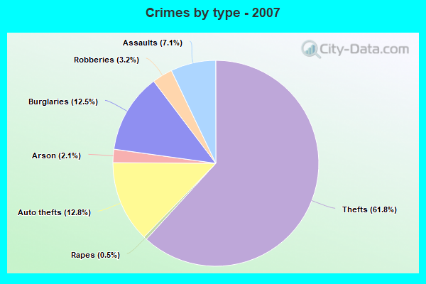 Crimes by type - 2007