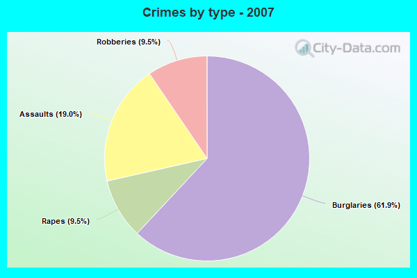 Crimes by type - 2007