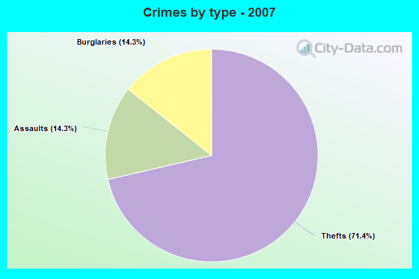 Crimes by type - 2007