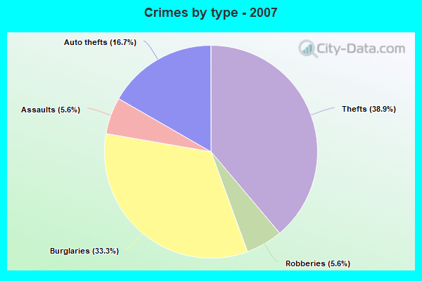 Crimes by type - 2007