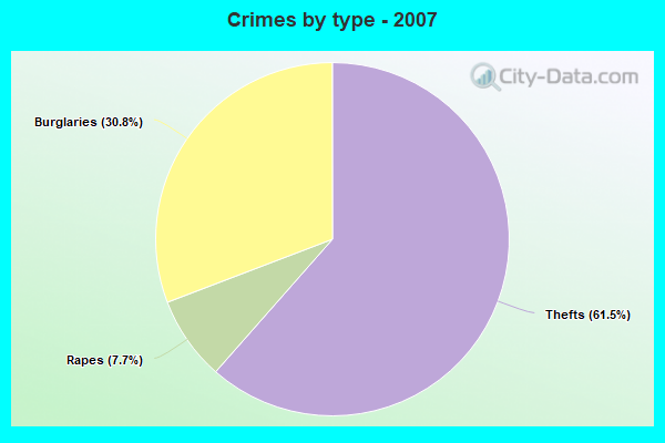 Crimes by type - 2007