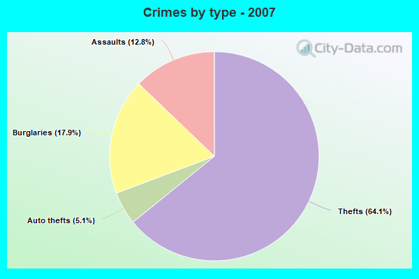 Crimes by type - 2007