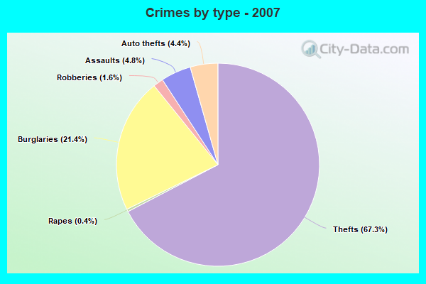 Crimes by type - 2007