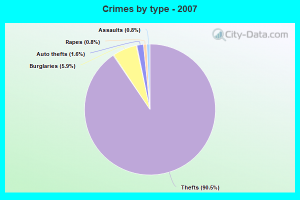 Crimes by type - 2007