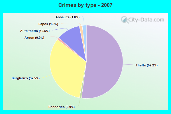 Crimes by type - 2007