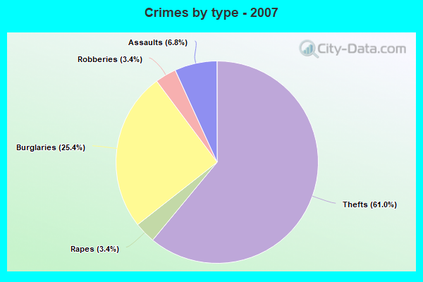 Crimes by type - 2007