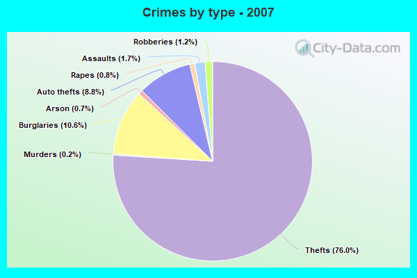 Crimes by type - 2007