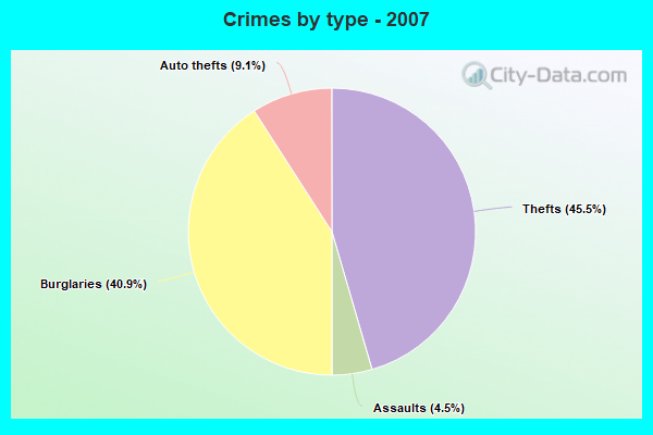 Crimes by type - 2007