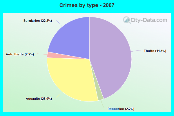 Crimes by type - 2007