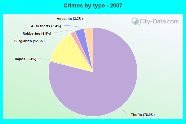 Crimes by type - 2007