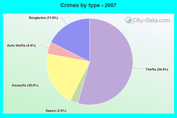 Crimes by type - 2007