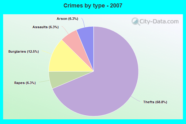 Crimes by type - 2007