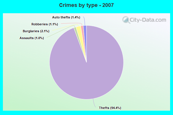 Crimes by type - 2007