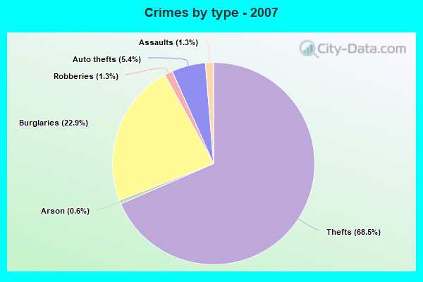 Crimes by type - 2007