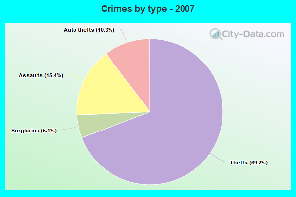 Crimes by type - 2007