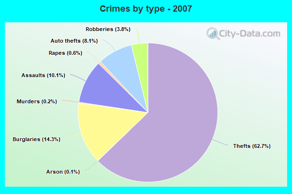 Crimes by type - 2007