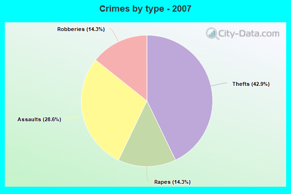 Crimes by type - 2007