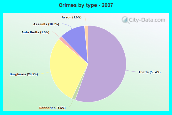 Crimes by type - 2007