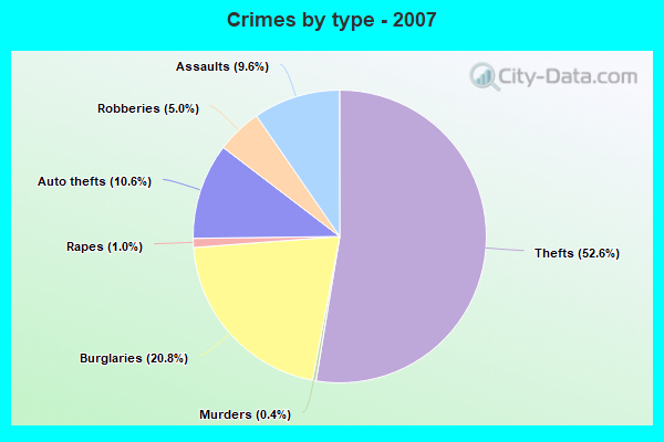 Crimes by type - 2007