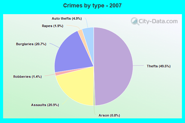 Crimes by type - 2007