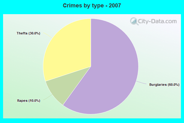 Crimes by type - 2007