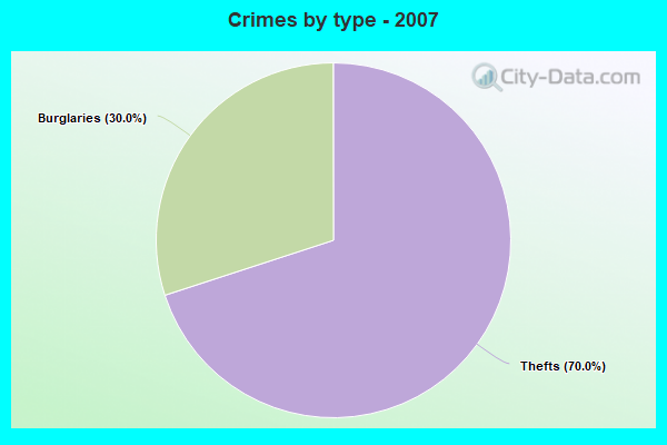 Crimes by type - 2007