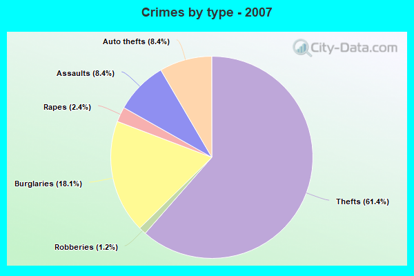 Crimes by type - 2007