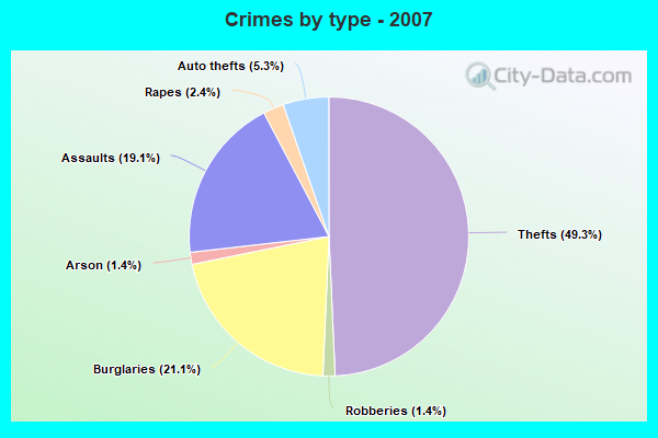 Crimes by type - 2007