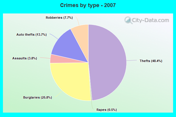 Crimes by type - 2007