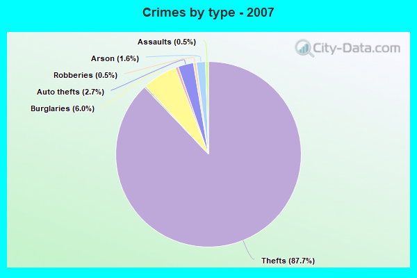 Crimes by type - 2007