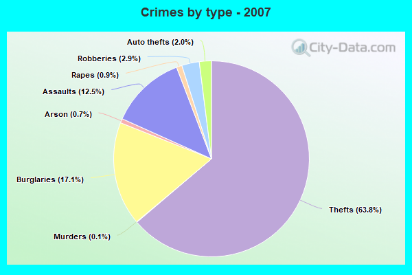 Crimes by type - 2007