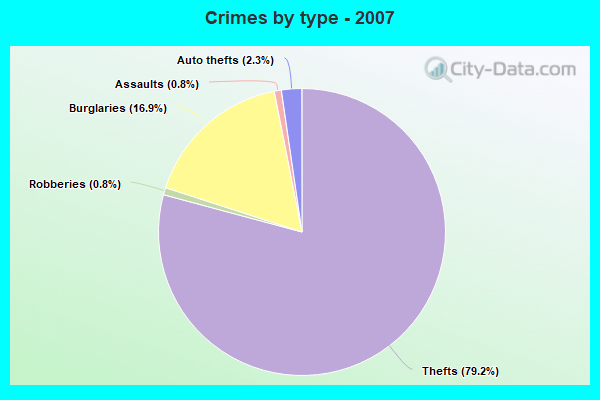 Crimes by type - 2007