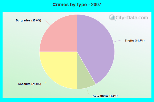 Crimes by type - 2007