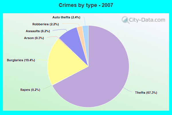 Crimes by type - 2007