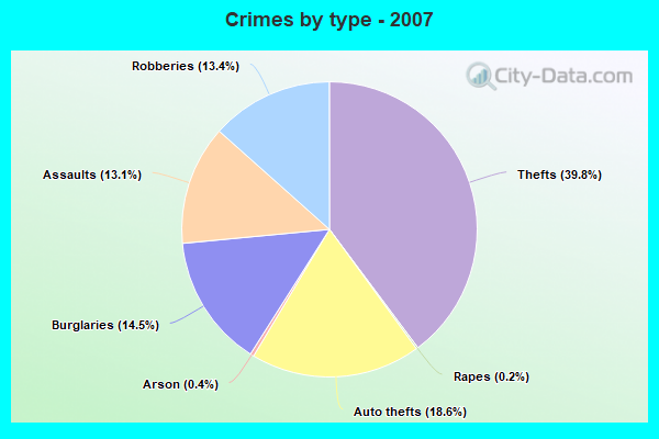 Crimes by type - 2007