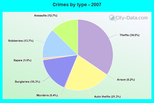 Crimes by type - 2007