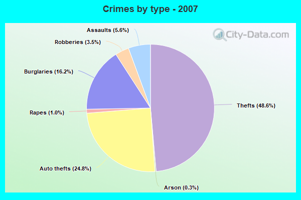 Crimes by type - 2007