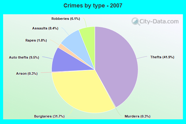 Crimes by type - 2007