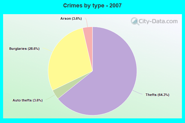 Crimes by type - 2007