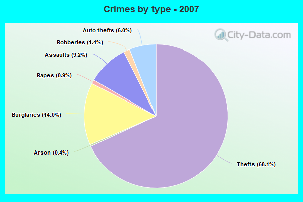 Crimes by type - 2007