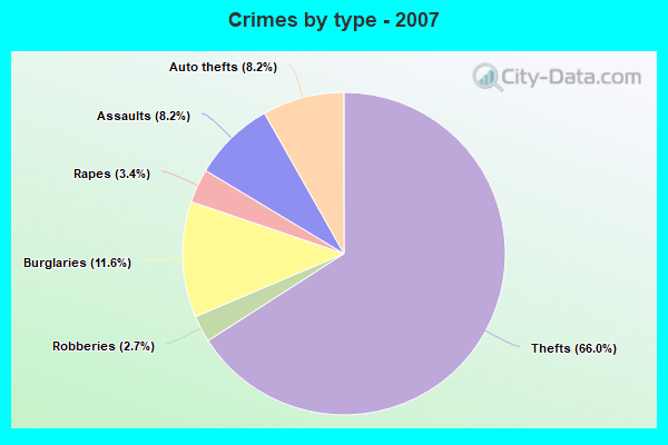 Crimes by type - 2007