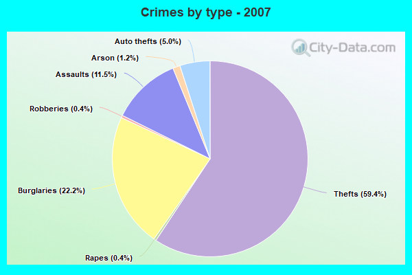 Crimes by type - 2007