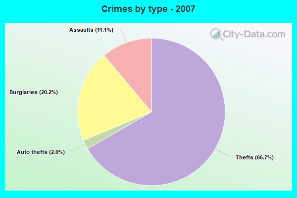 Crimes by type - 2007