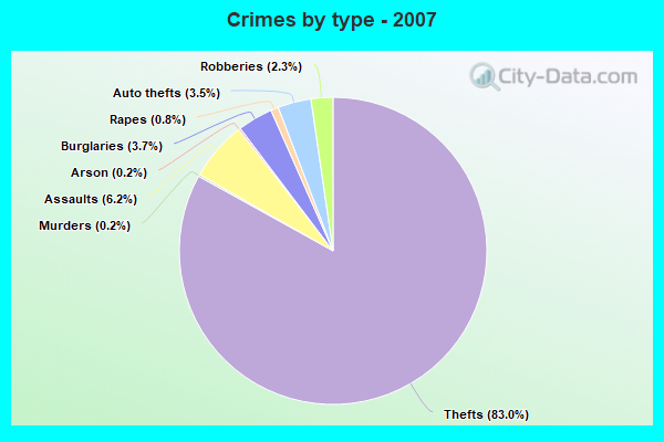 Crimes by type - 2007