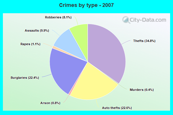 Crimes by type - 2007