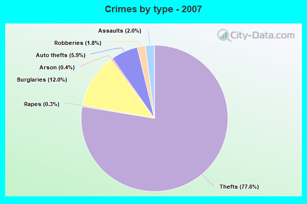 Crimes by type - 2007