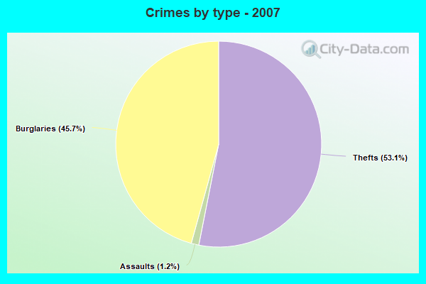 Crimes by type - 2007