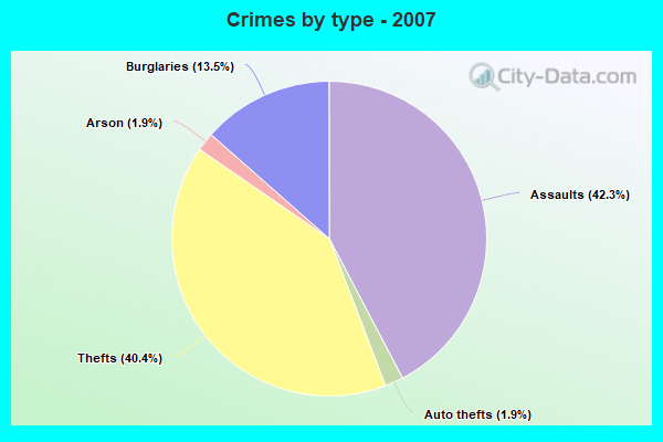 Crimes by type - 2007