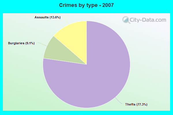 Crimes by type - 2007